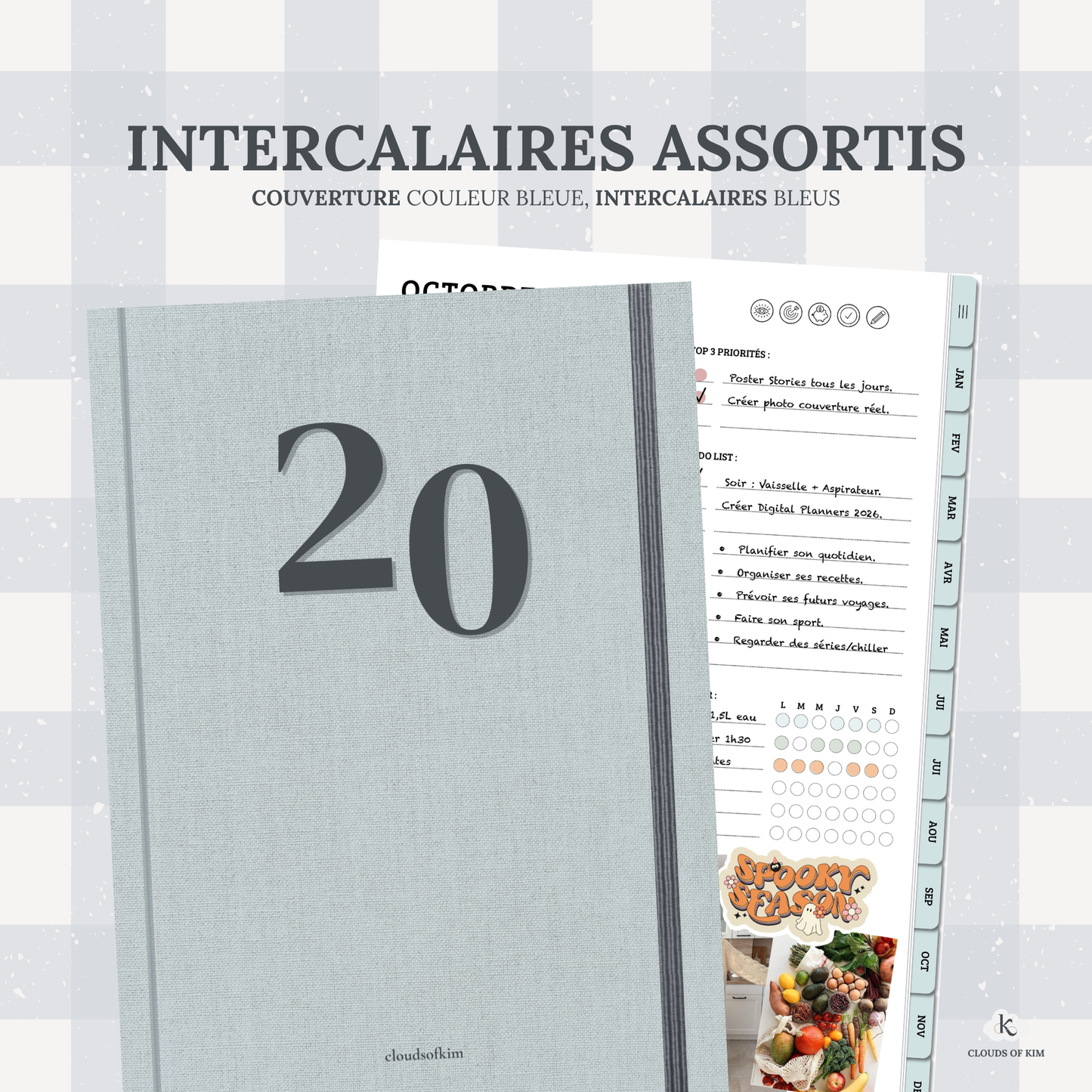 DIGITAL PLANNER NON DATÉ (BLEU)