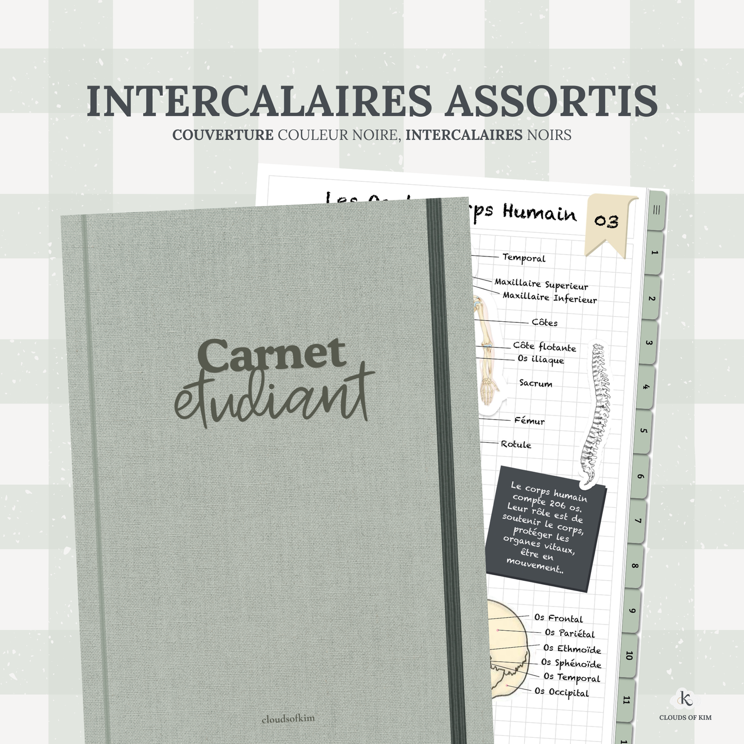 CARNET ÉTUDIANT (VERT)