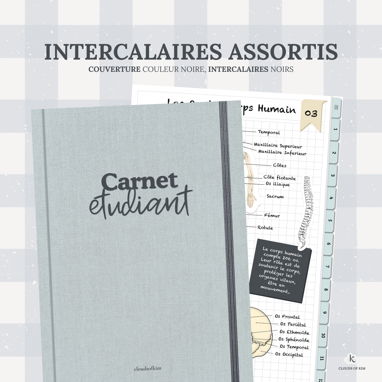 CARNET ÉTUDIANT (BLEU)