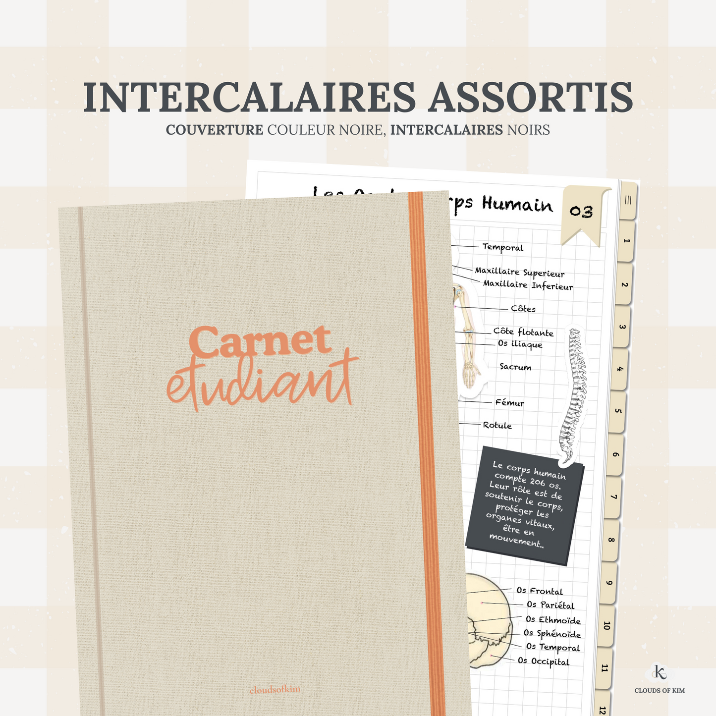 CARNET ÉTUDIANT (JAUNE)