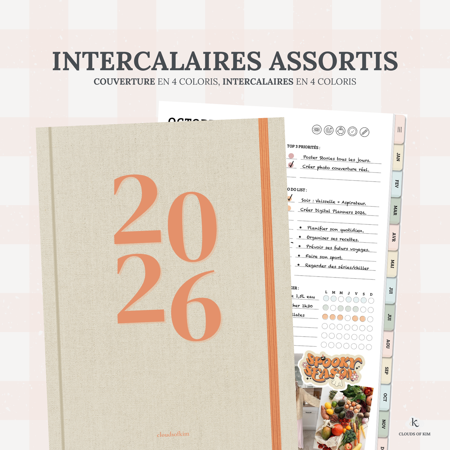 DIGITAL PLANNER 2026 (PASTEL)