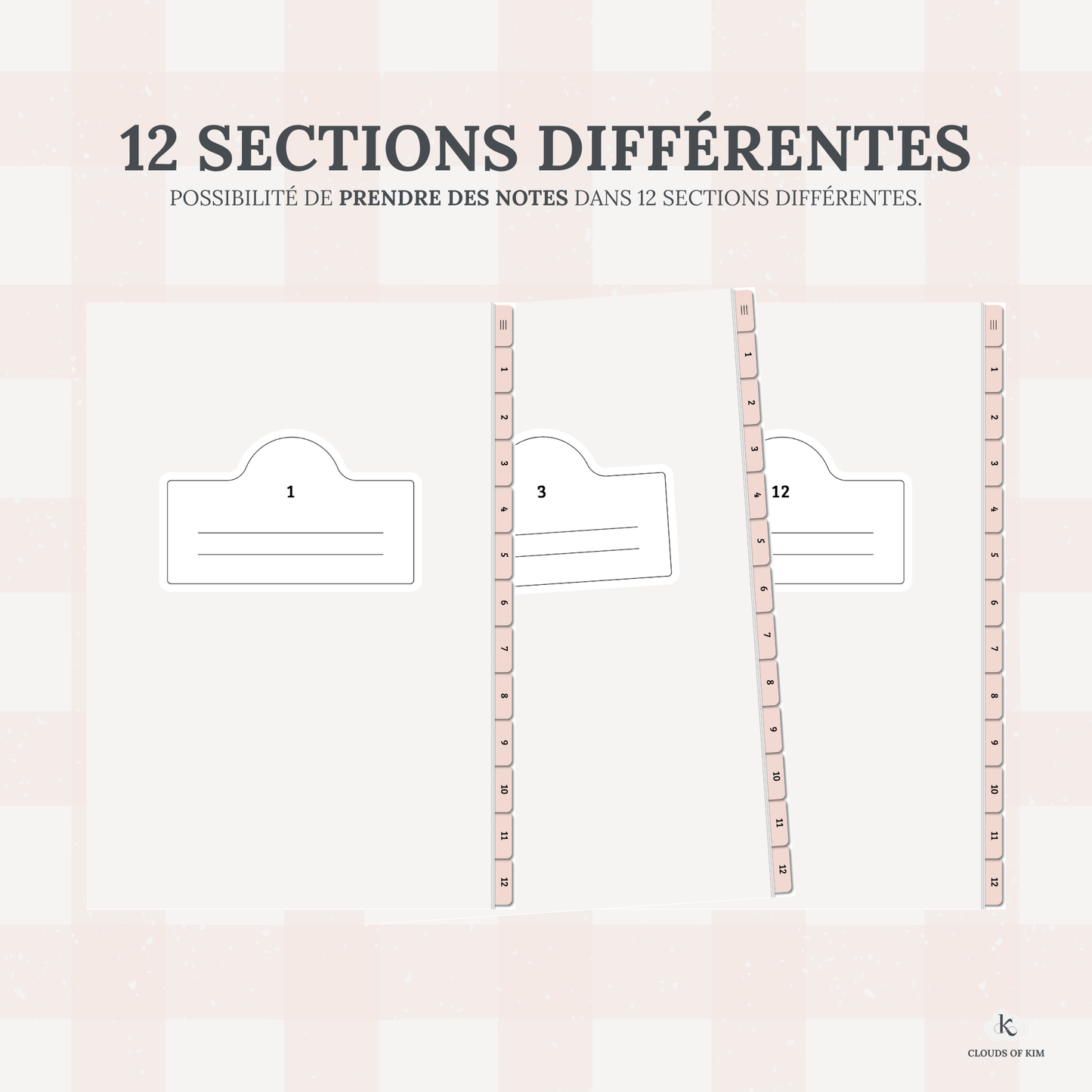 CARNET DE NOTES (ROSE)