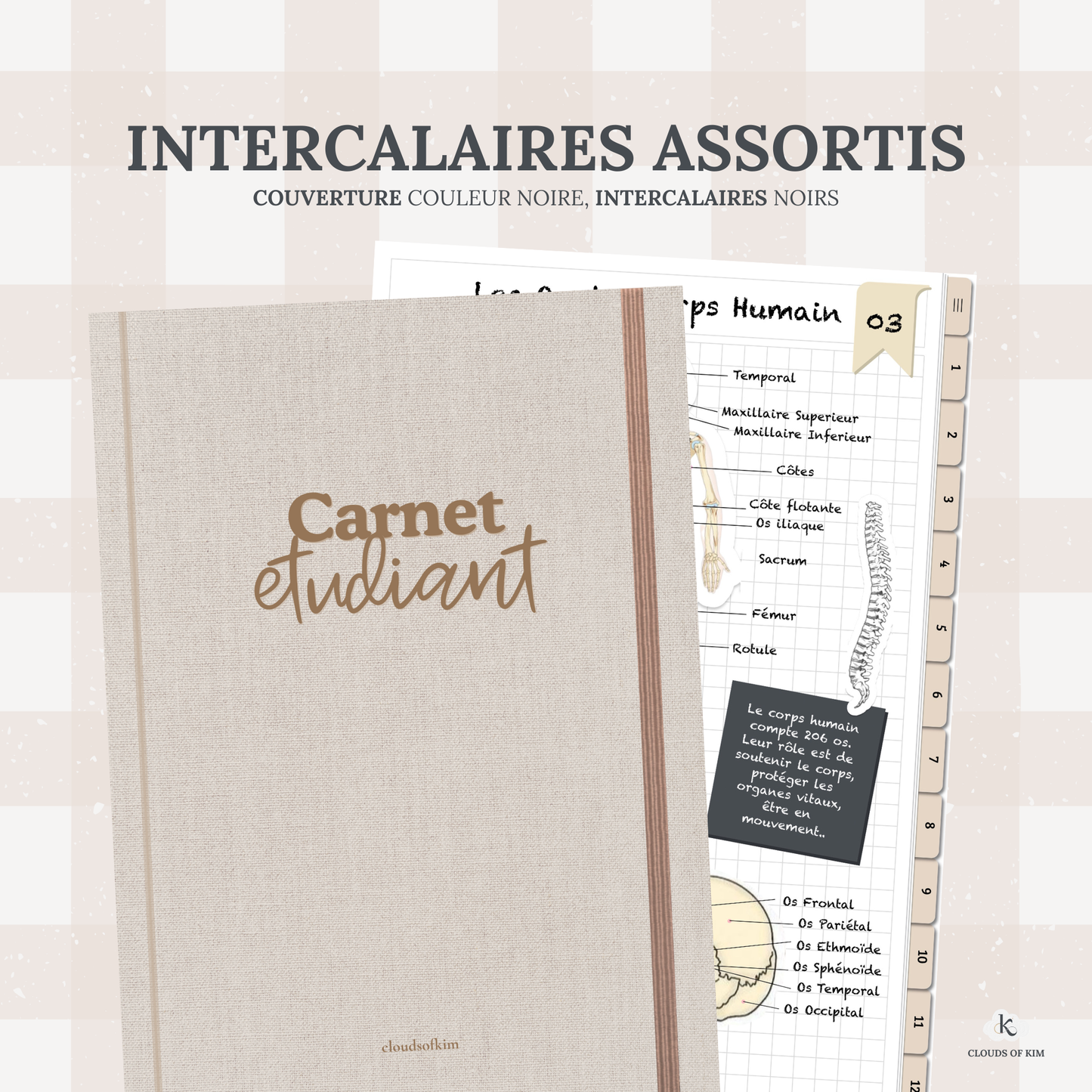 CARNET ÉTUDIANT (BEIGE)