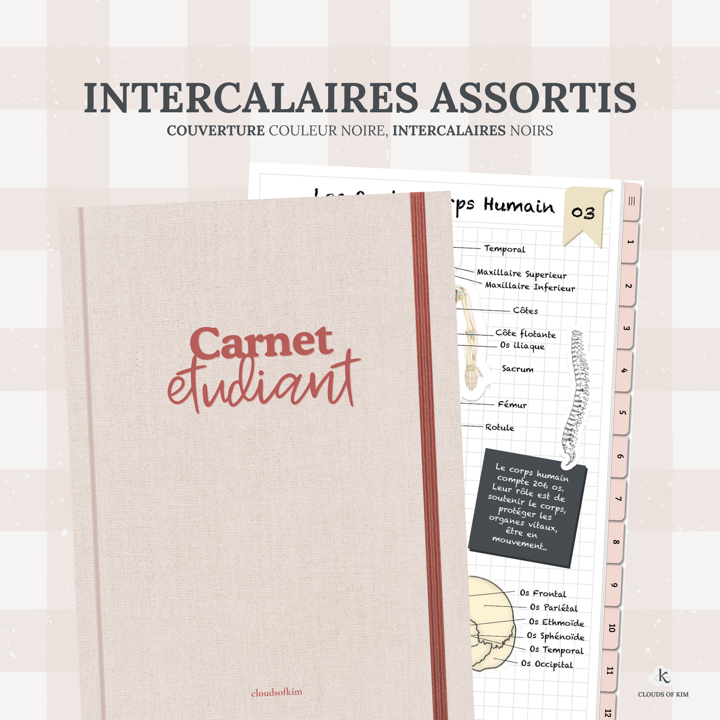CARNET ÉTUDIANT (ROSE)