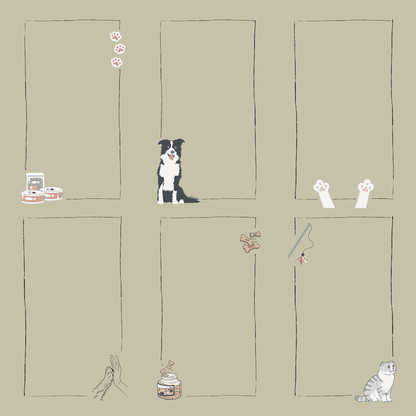 DOG/CAT PACK