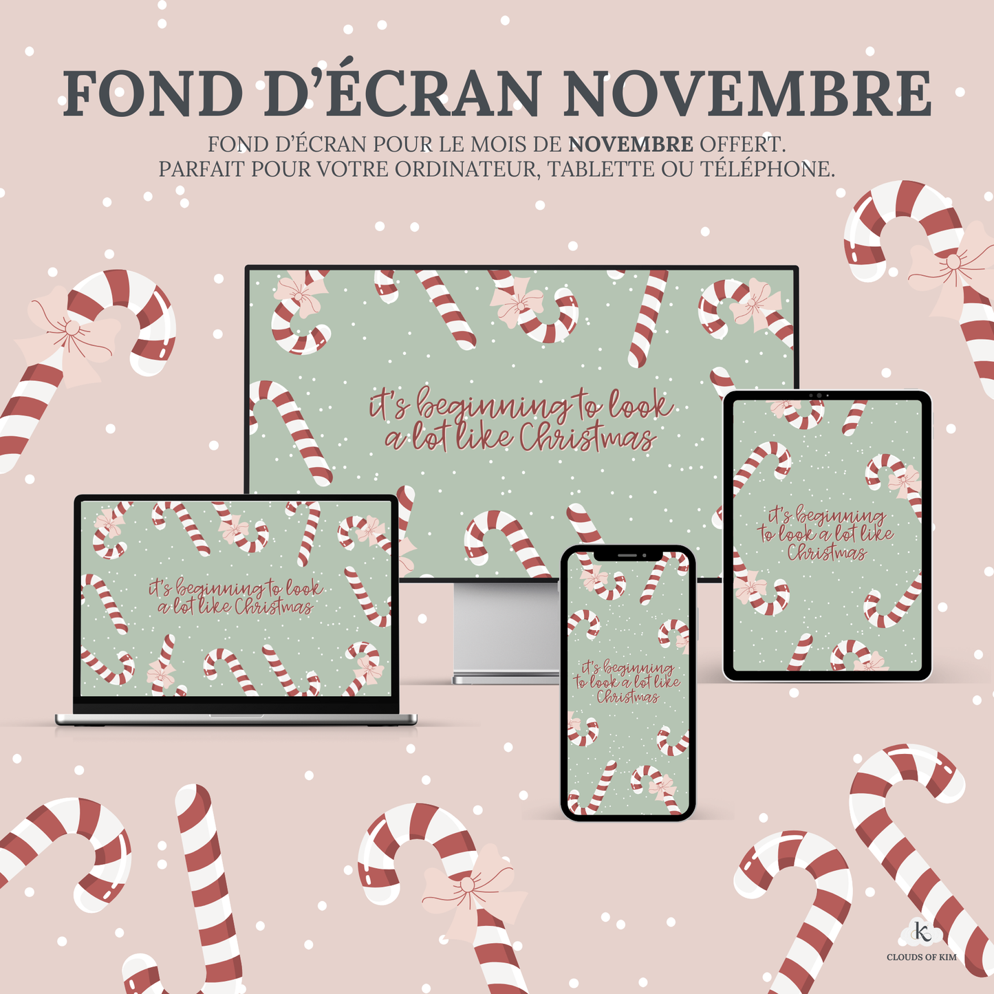 FOND D'ÉCRAN NOVEMBRE